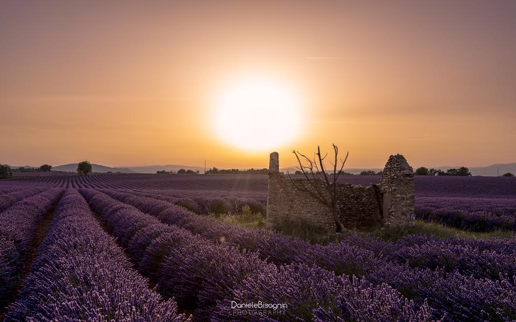 Les Terrasses De Valensole Bed & Breakfast ภายนอก รูปภาพ