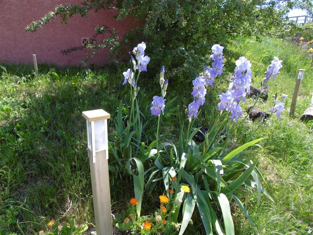 Les Terrasses De Valensole Bed & Breakfast ภายนอก รูปภาพ