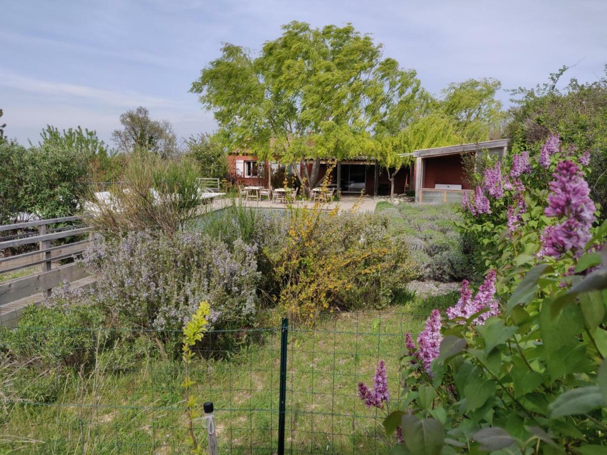 Les Terrasses De Valensole Bed & Breakfast ภายนอก รูปภาพ